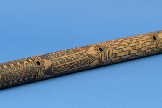 Bitu-from-the-Smithsonian-National-Museum-of-Natural-History-Collection1-540×362
