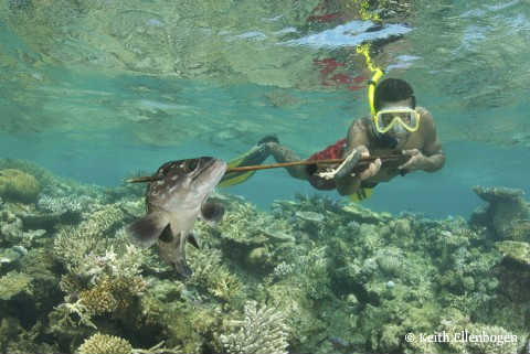 Fiji_spearfisher_with_grouper
