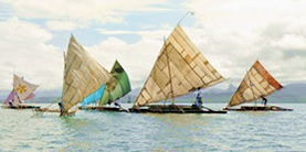 Veitau_Waqa_2013