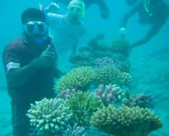 p2008_1