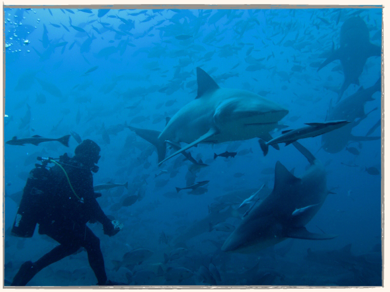 Ecotourism2