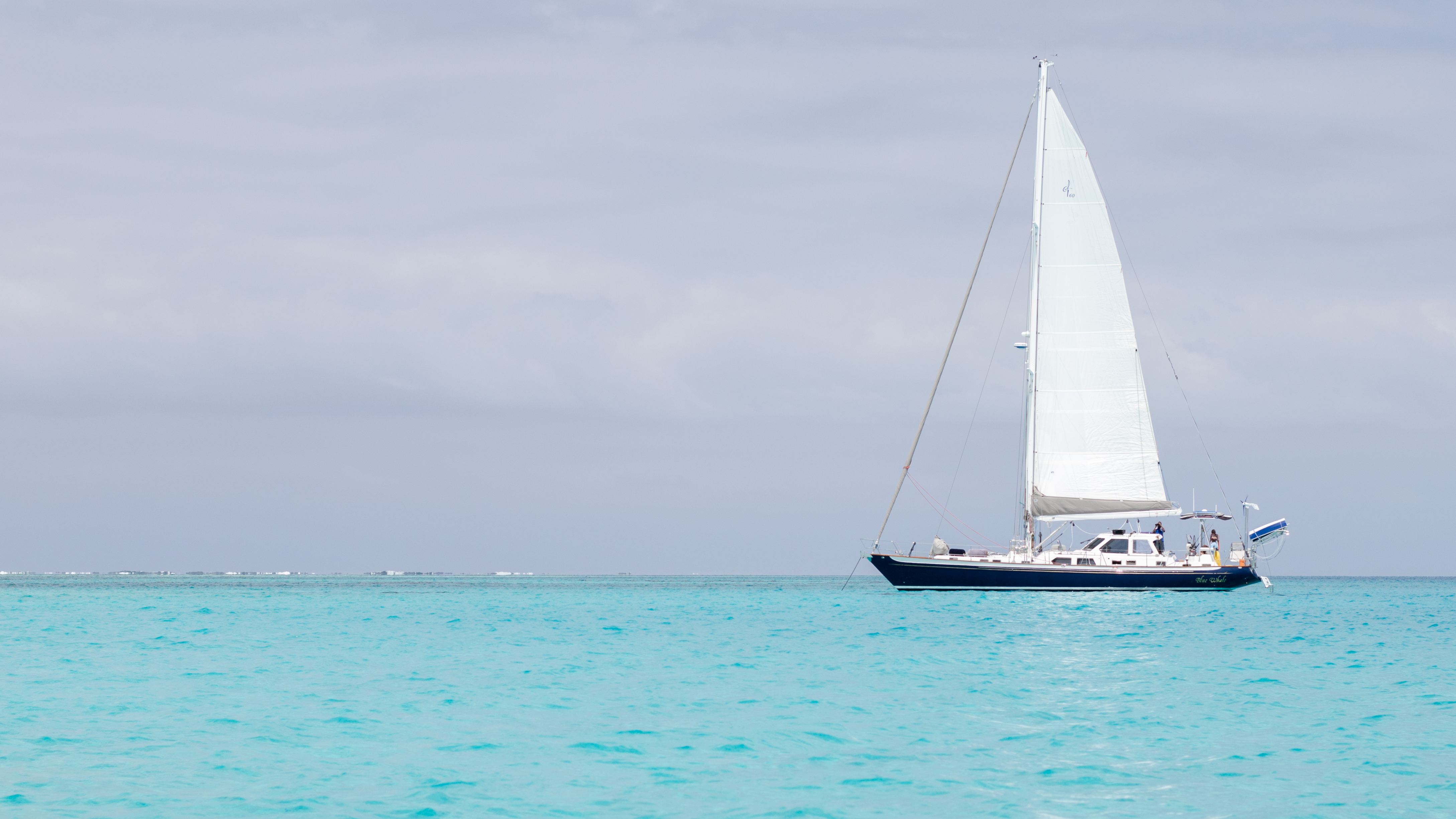 Beqa Lagoon Sand Cay_Blue Whale