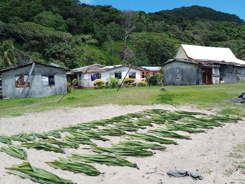 Alternative Livelihoods